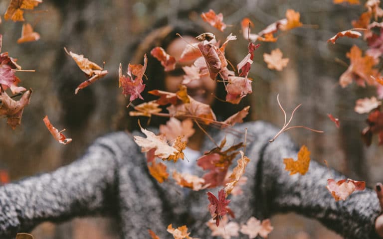 Otoño (PixaBay)