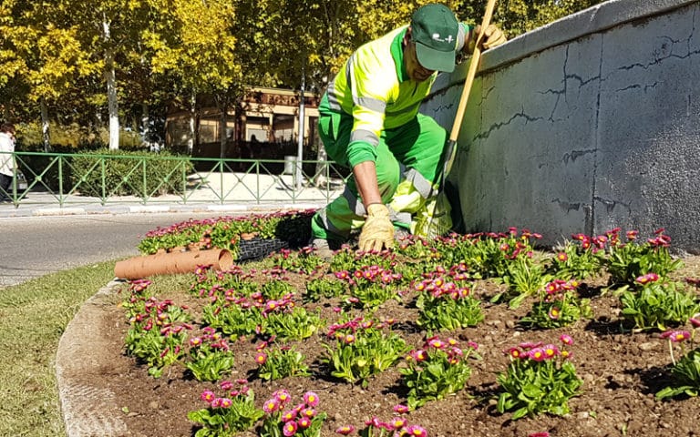 Un operario de Rivamadrid trabaja en labores de replantación (Fuente: Rivamadrid)