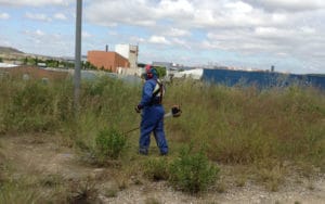Jardinero de Rivamadrid realiza labores de desbroce en una parcela municipal (Fuente: Diario de Rivas)