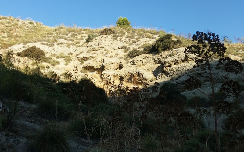 Zona de intervención arqueológica de la batalla del Jarama en el Parque Regional del Sureste (Fuente: Diario de Rivas)