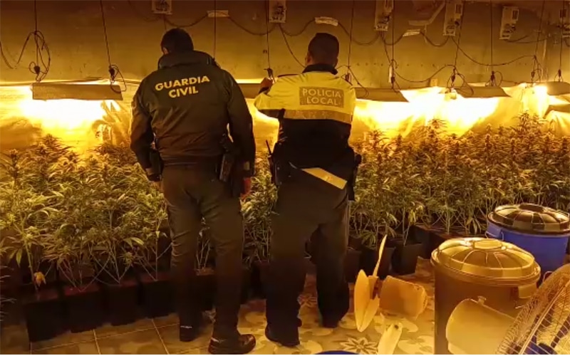 Intervención de la Guardia Civil en una plantación de marihuana en Cañada Real, en 2019