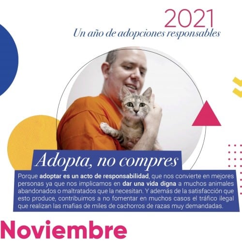 Imagen del calendario solidario de Rivanimal