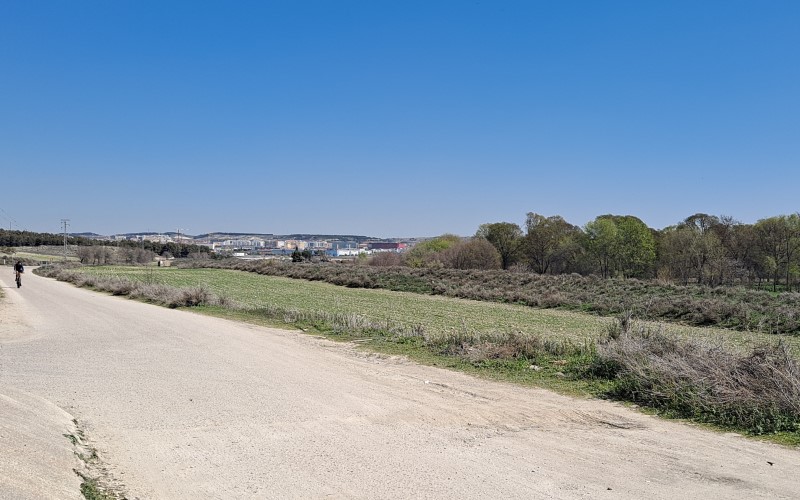 Camino de la Salmedina (Fuente: Diario de Rivas)