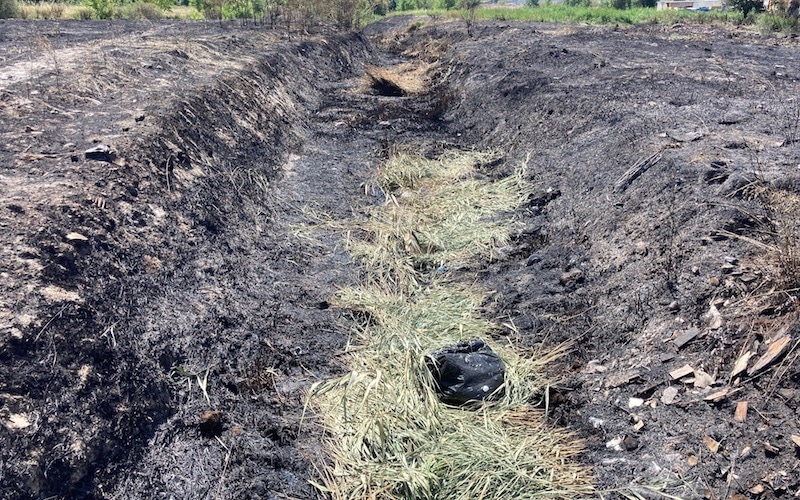 Un incendio carboniza numerosos árboles recién plantados por la ciudadanía entre Covibar y la Cañada: así ha quedado la zona afectada