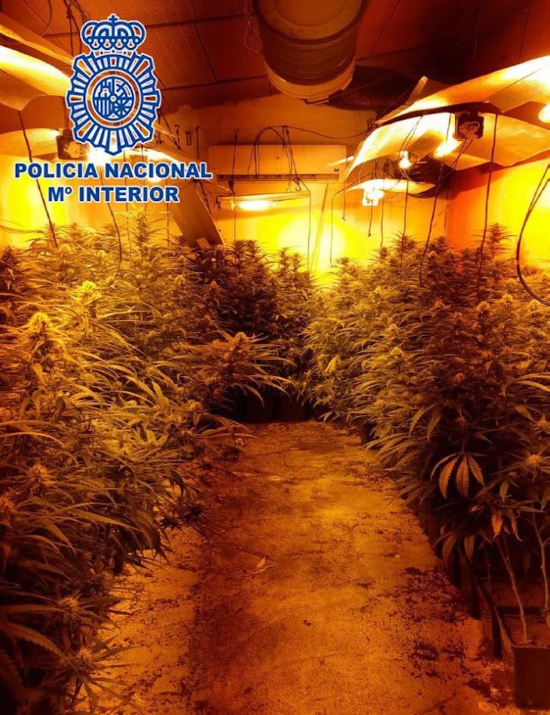 Plantación indoor de marihuana en la Cañada Real (foto: Policía Nacional)