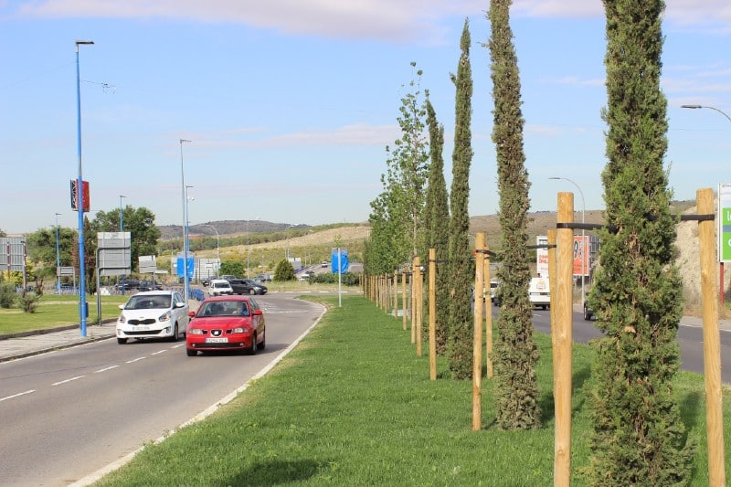 La alineación de arbolado de la avenida Aurelio Álvarez, en el tramo más cercano a la A-3