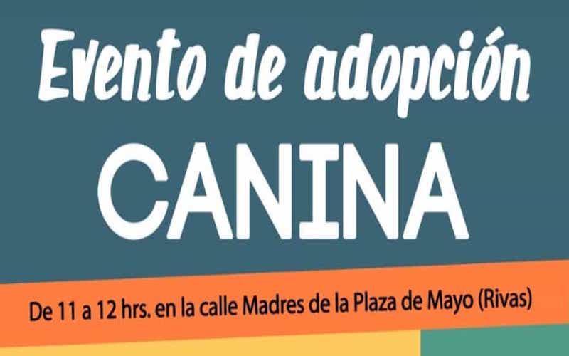 Adopción canina con Rivanimal, con motivo de las Fiestas de el barrio de La Luna