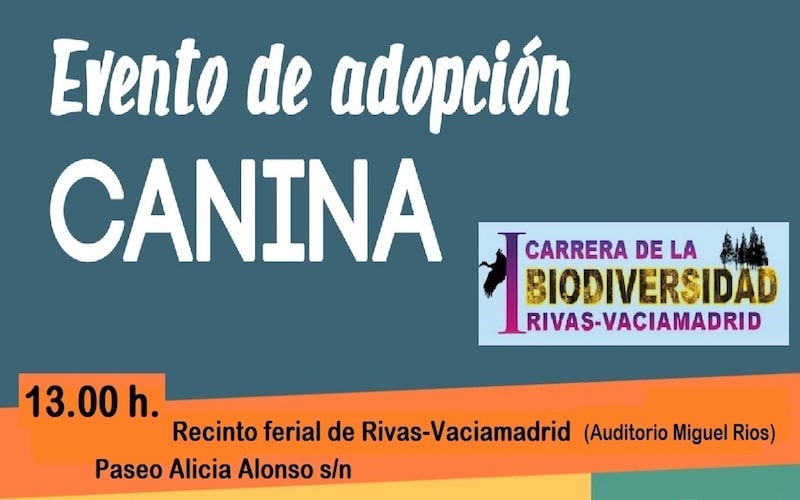 Adopción canina con Rivanimal, con motivo de la ‘Carrera de la Biodiversidad’