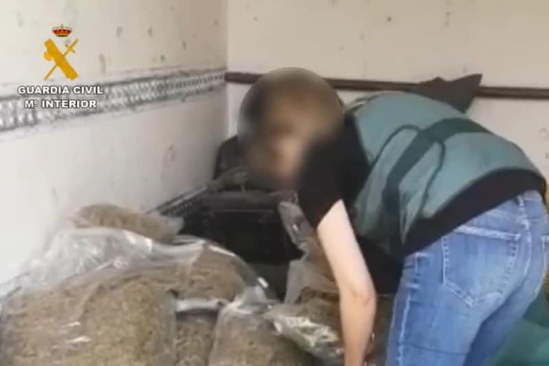 Durante la investigación también se ha incautado 36 kilogramos de cogollos de marihuana seca