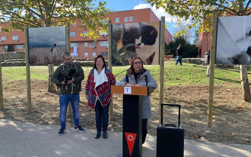 Inauguración 'Paseo de los Animales' en Rivas Vaciamadrid, este sábado