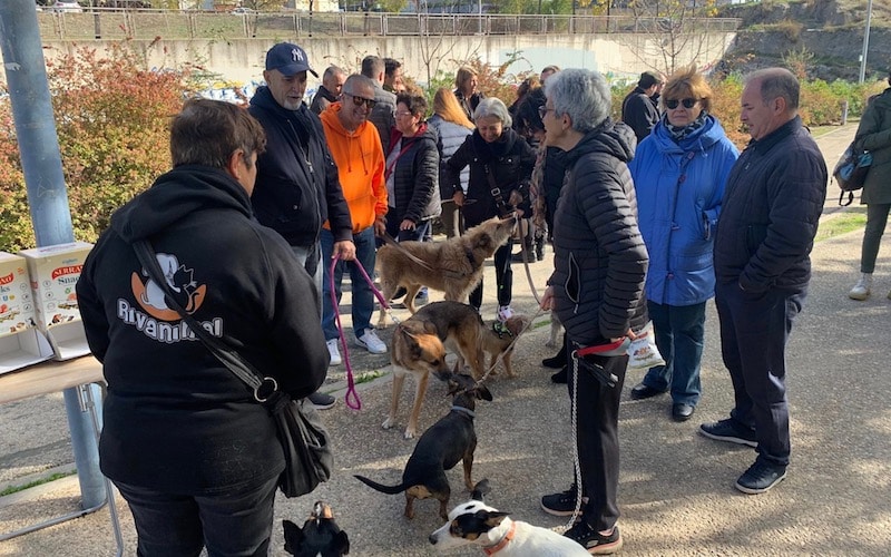 Inauguración 'Paseo de los Animales' en Rivas Vaciamadrid, este sábado