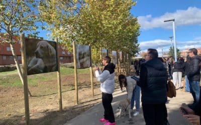 Rivas estrena su Paseo de los Animales en el Parque Lineal