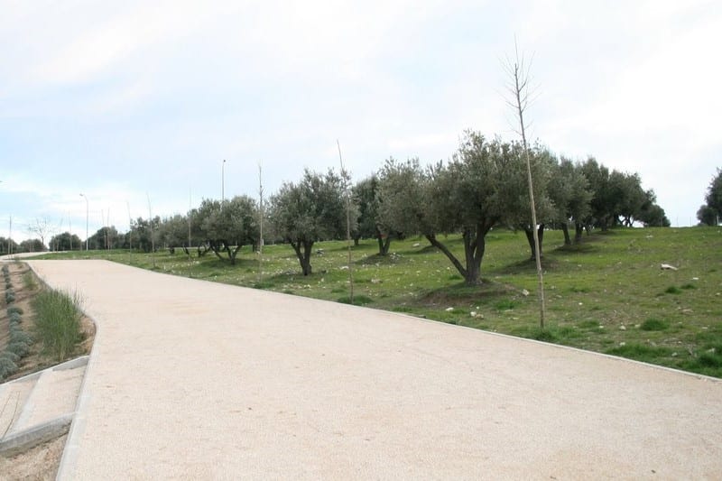 El Ayuntamiento de Rivas plantará 94 árboles y 330 arbustos en el Olivar de La Partija