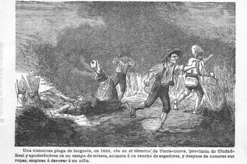 La plaga de 1865 de Vaciamadrid: cuando las langostas paralizaron los trenes