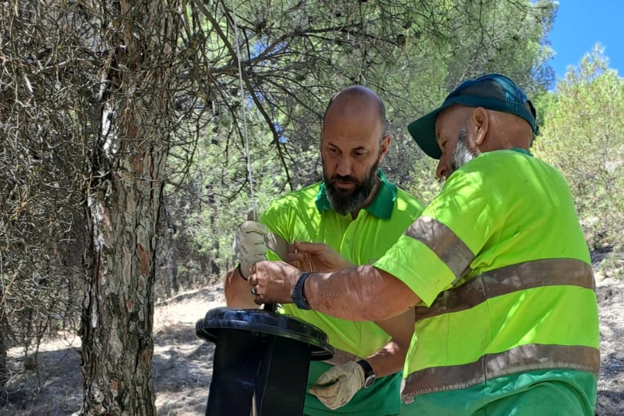 Operarios de Rivamadrid instalando una trampa contra los escarabajos