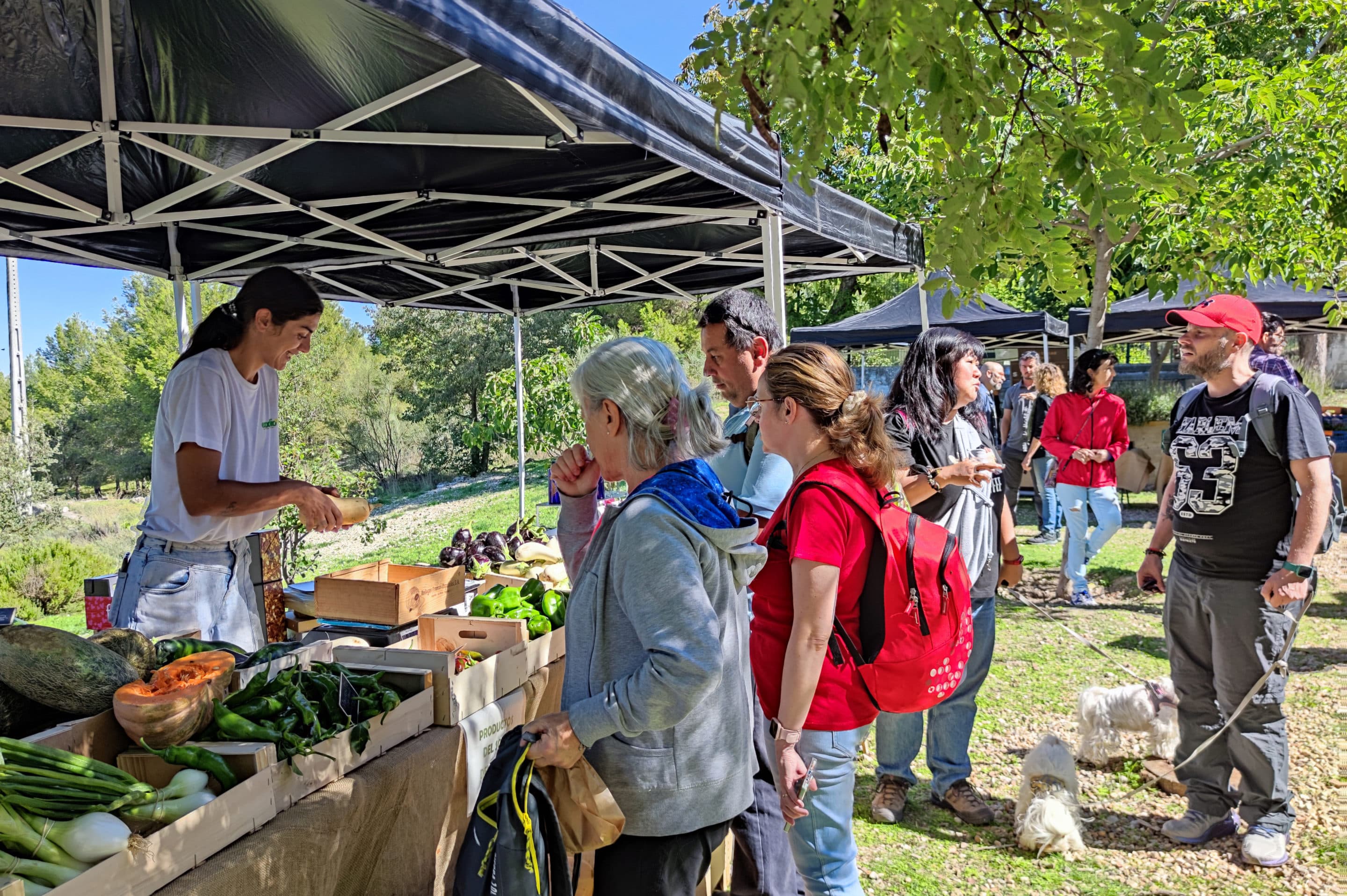 Mercadillo con productos del Parque Agroecológico Soto del Grillo