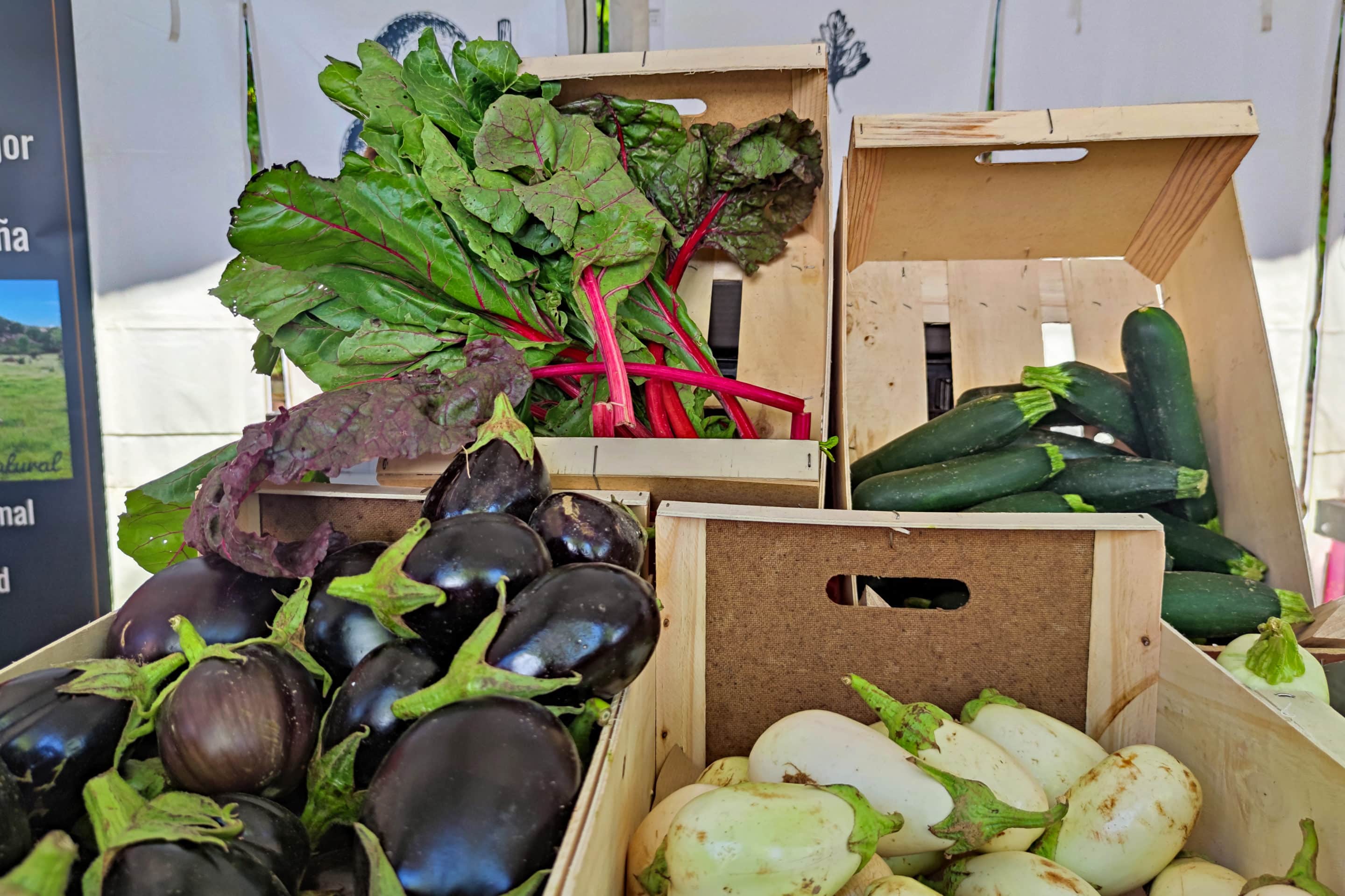 Verduras y hortalizas cultivadas en Rivas Vaciamadrid