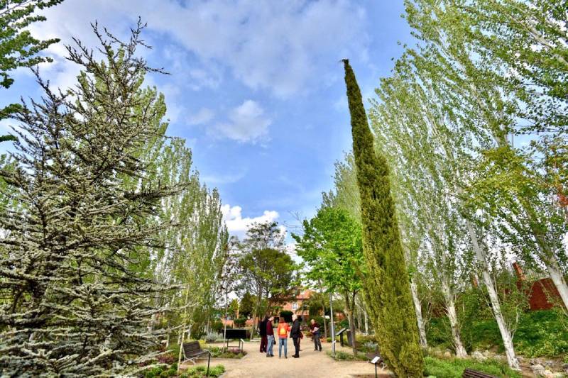 Arboretum de Rivas, uno de los parques con sistema de autorriego inteligente