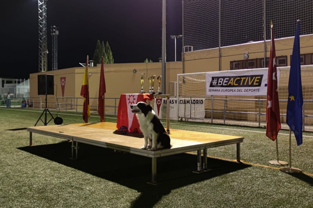 La jornada finalizó con una exhibición de Agility y una entrega de premios