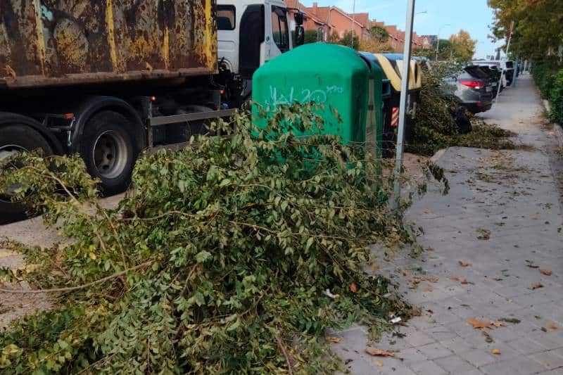 Vertidos de poda ilegales en Rivas ((foto: Rivamadrid).