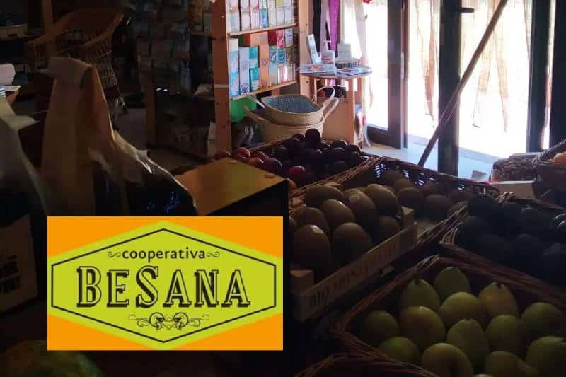 Interior de la tienda de Besana en Rivas