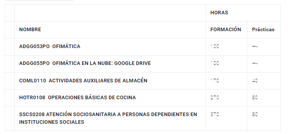 Acciones formativas para desempleados realizadas en el 2023 por el Ayuntamiento de Rivas
