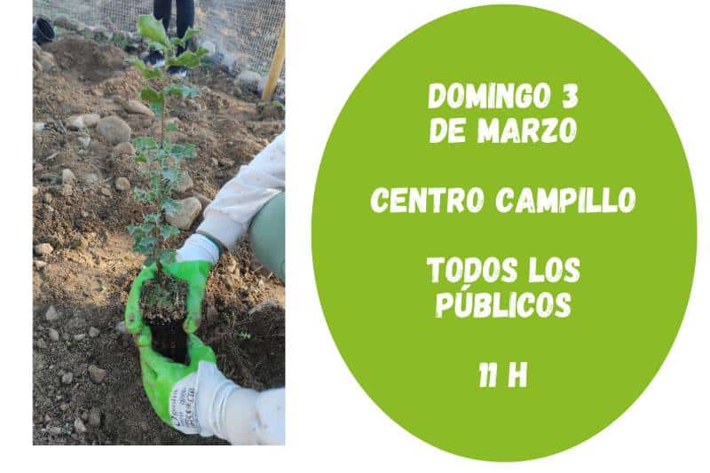 Actividad familiar: plantación en el centro El Campillo de Rivas