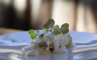 Tapas Galácticas: abre el plazo para participar en la Ruta de la Tapa 2026 de Rivas