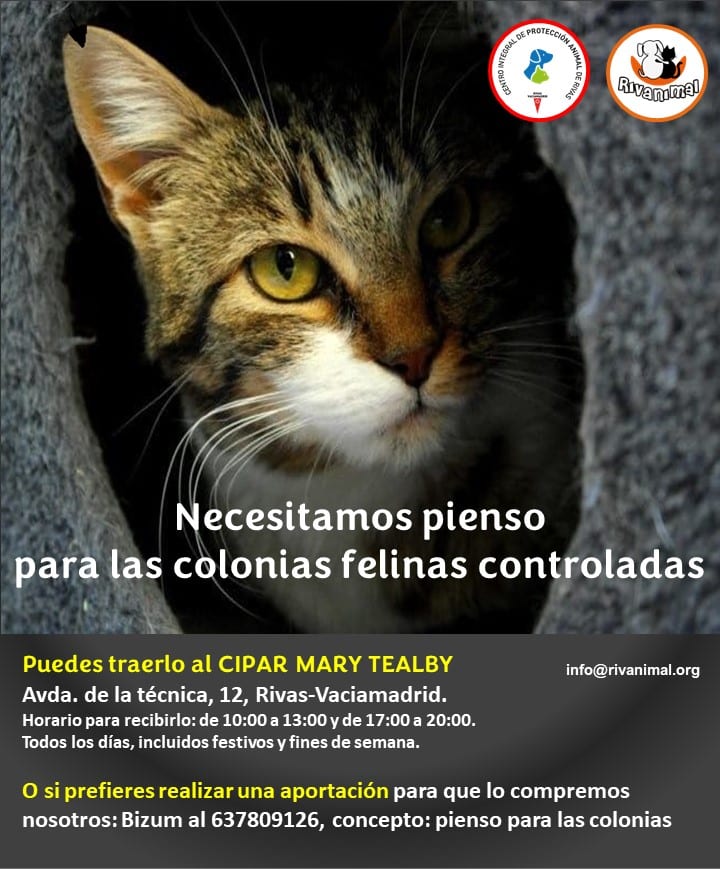 campaña de recogida de pienso para alimentar a las colonias felinas