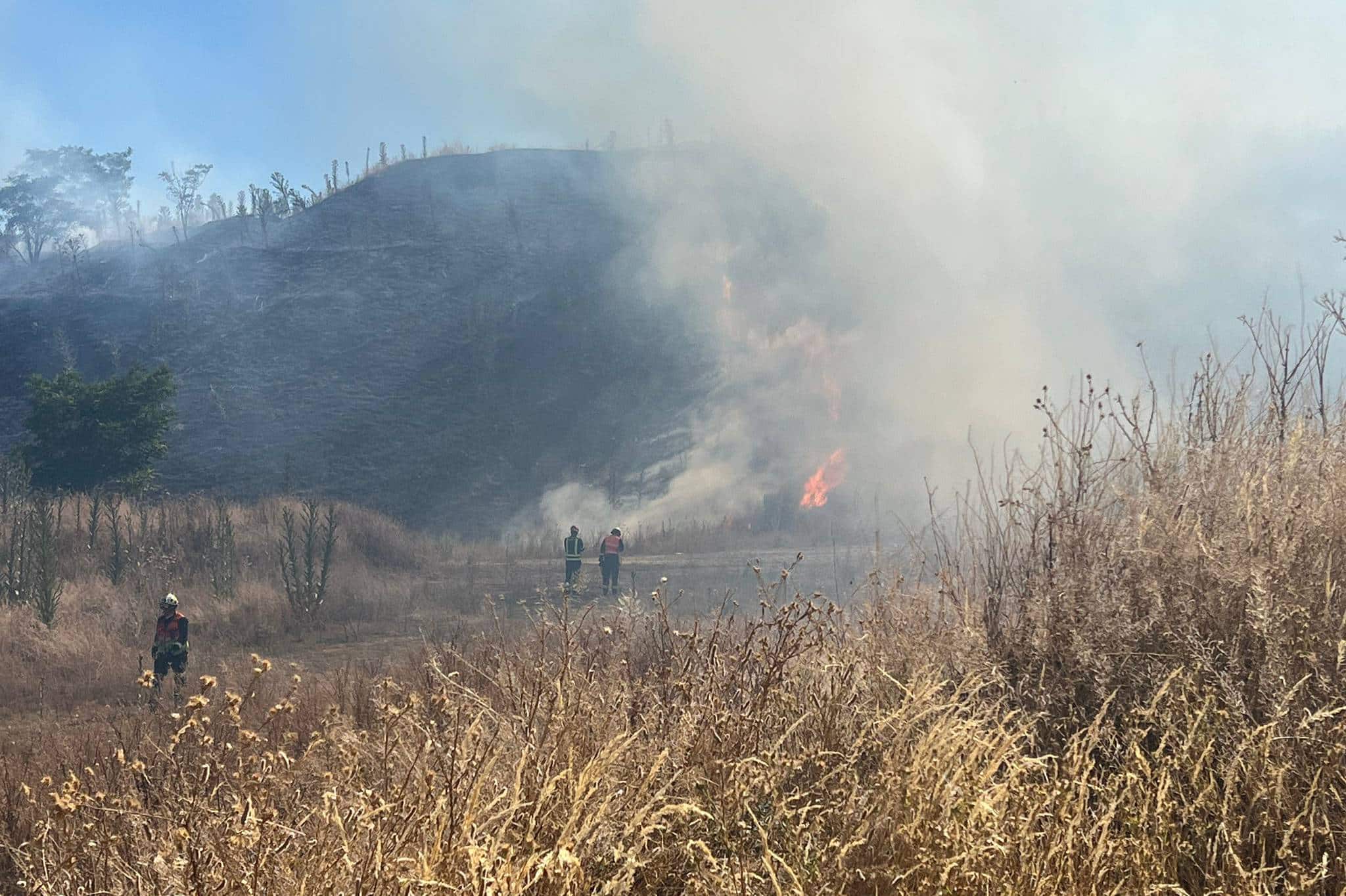 Incendio de pasto en la Cañada Real