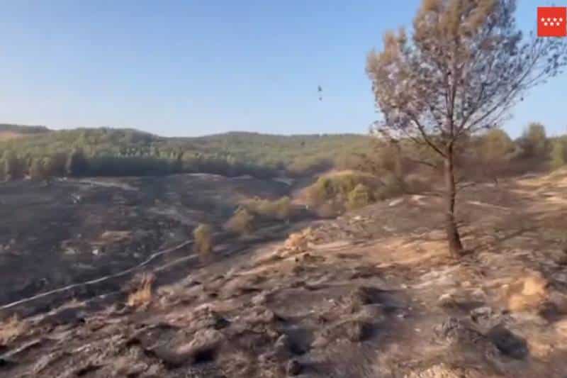 Imagen de los daños causados por el incendio forestal en Rivas