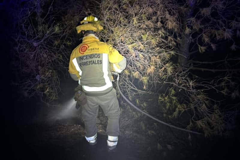 Brigadas forestales apagan el fuego declarado en Rivas