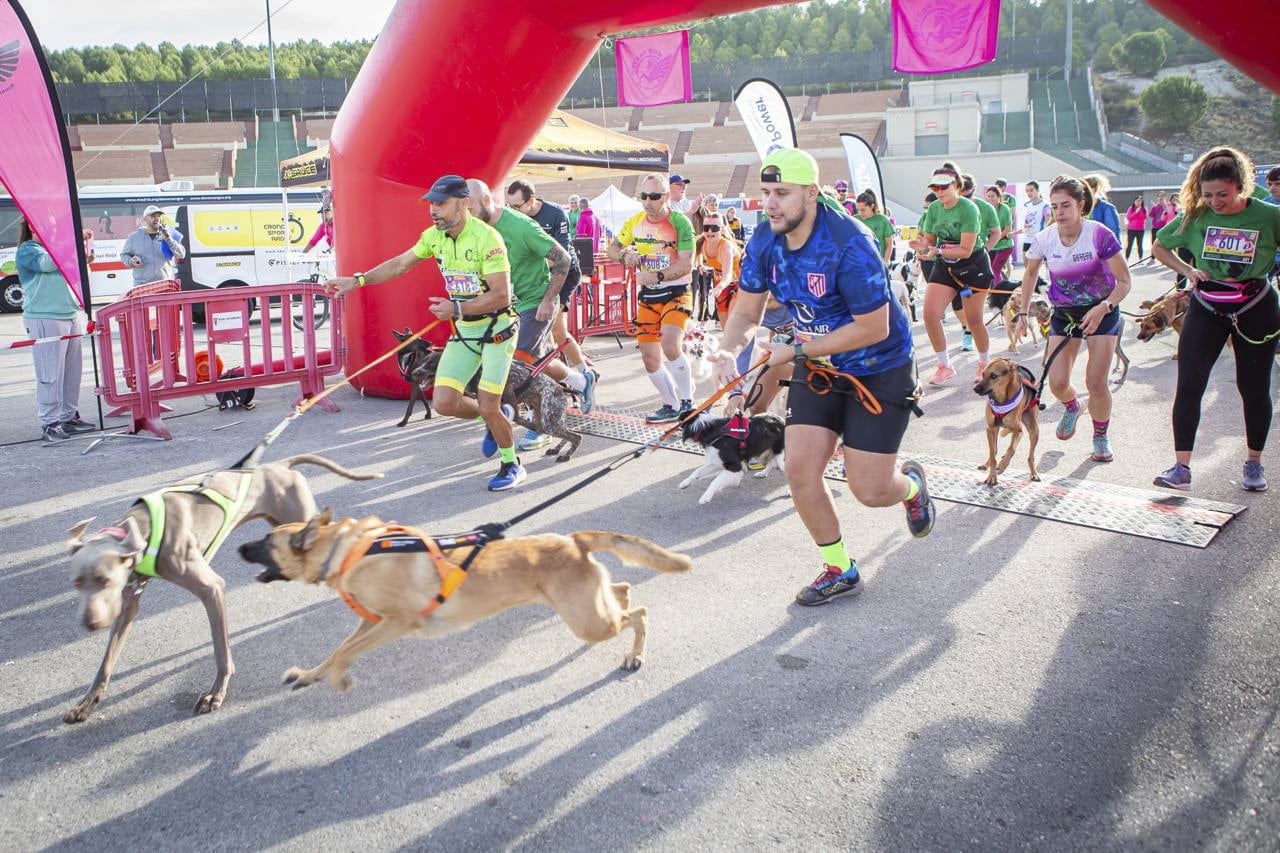 5 kilómetros caninos en la III Carrera por la Biodiversidad (foto: Ayto. Rivas)