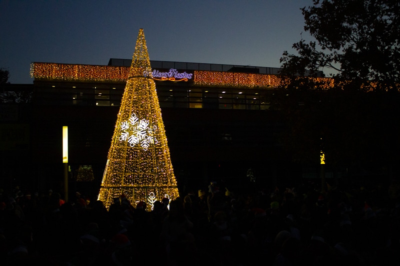 Árbol de Navidad de la Plaza de la Constitución (foto: Diario de Rivas)