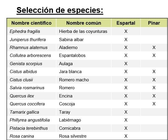 Relación de especies vegetales seleccionadas para el proyecto de WWF en el parque de Mazalmadrit (fuente: WWF España)