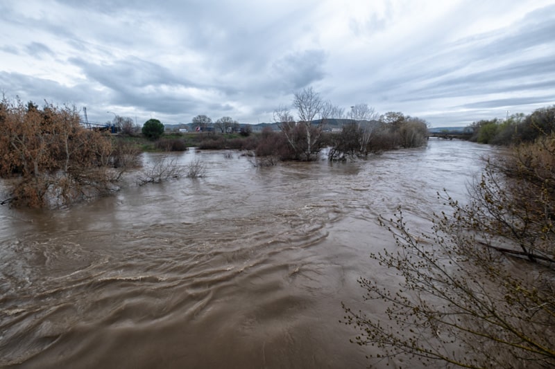 Río Jarama a su paso bajo el Puente de Arganda. © Miguel Vázquez Ayala