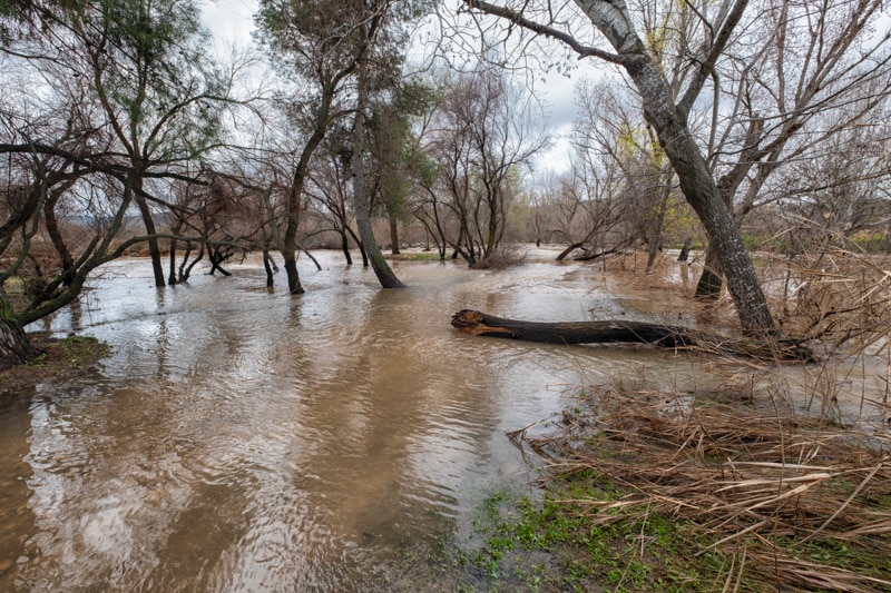 La laguna de Velilla y el rio Jarama unidos anegan el camino que los separa, normalmente a unos cinco metros de altura. © Miguel Vázquez Ayala