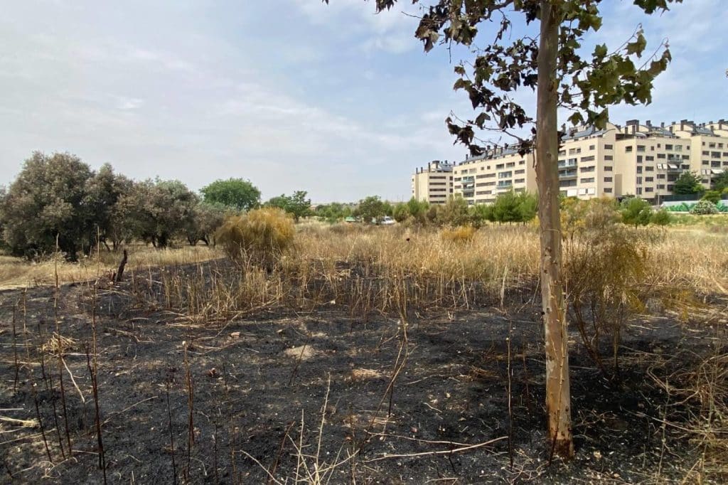 El foco del incendio está próximo a las viviendas de la ronda de Gijón y de la calle Simón de Beauvoir