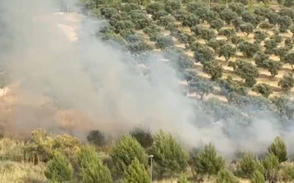 Columna de humo por el incendio en el olivar de La Partija