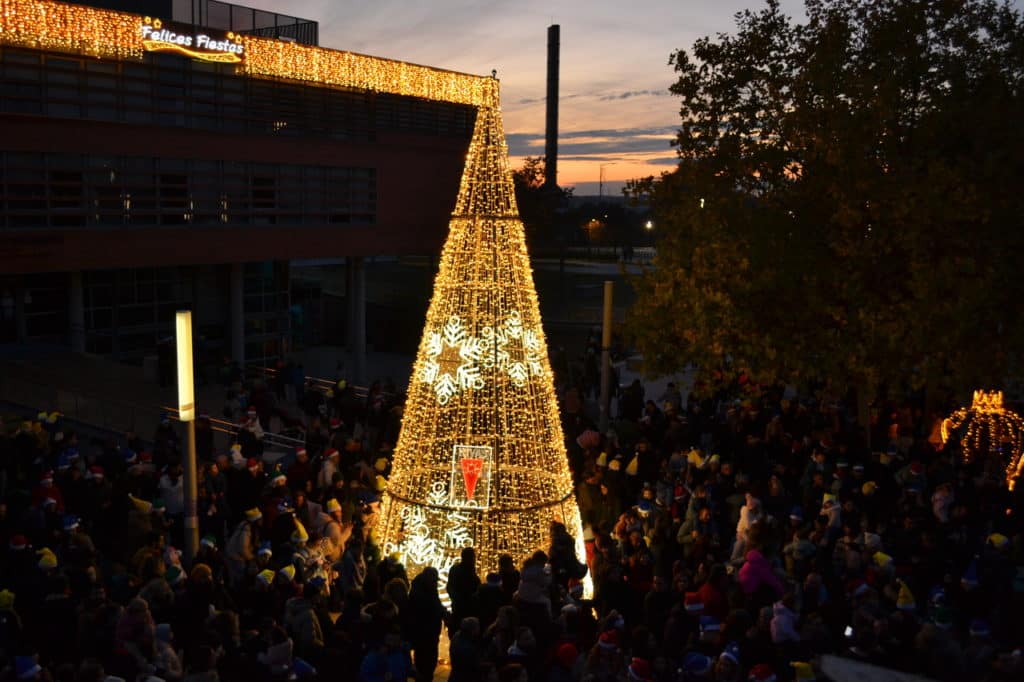Árbol de la plaza de la Constitución (Foto: Diario de Rivas)