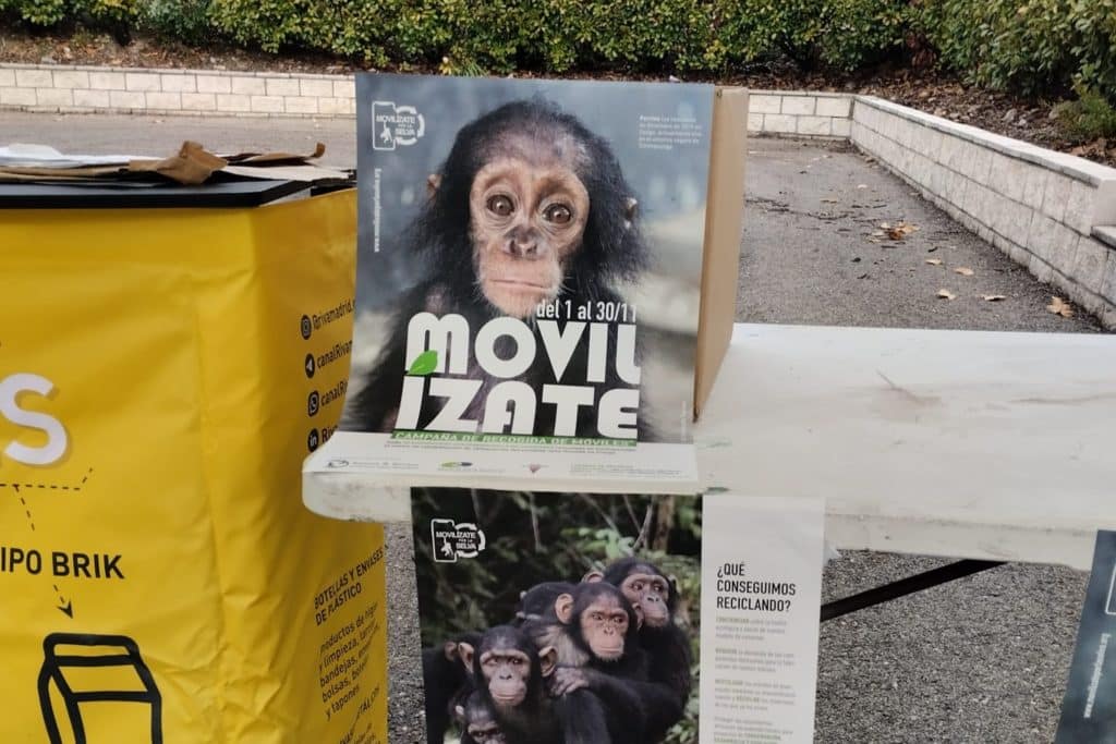 Recogida de móviles en el punto limpio (foto: Rivamadrid)