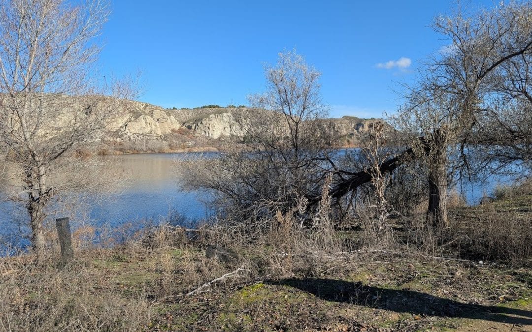 Así sigue el entorno de la Laguna del Campillo, diez meses después de las inundaciones