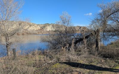 Así sigue el entorno de la Laguna del Campillo, diez meses después de las inundaciones