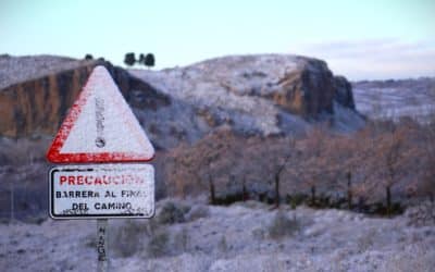Rivas amanece blanca: imágenes de la borrasca Francis