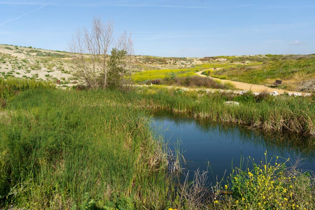 Laguna en el Parque del Cristo de Rivas.