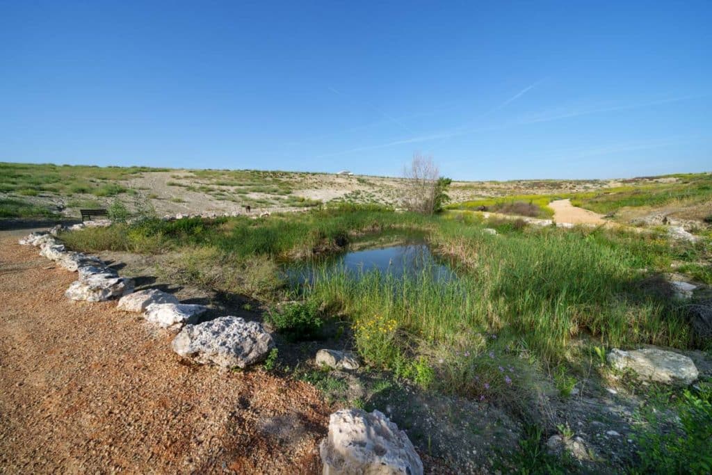 Laguna en el Parque del Cristo de Rivas.