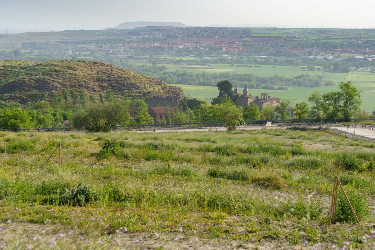 Cristo de Rivas y Valle del Jarama visto desde el parque